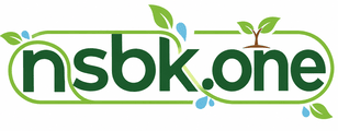 nsbk.one